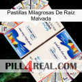 Pastillas Milagrosas De Raíz Malvada kamagra1